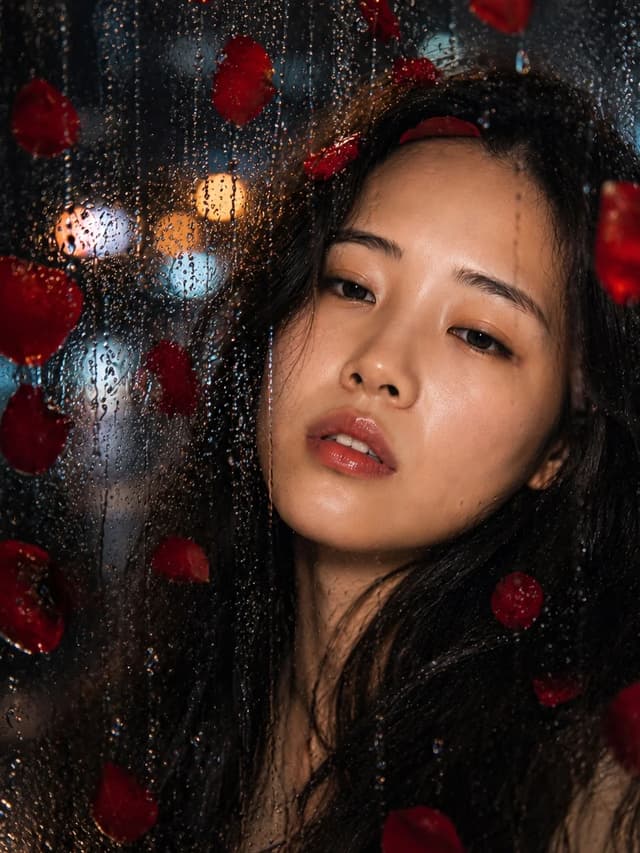 빗방울 너머의 장미